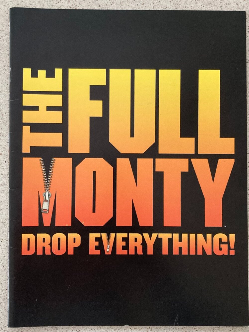 The Full Monty Large Souvenir Program Replacement Cast Steven Skybell Rod Weber